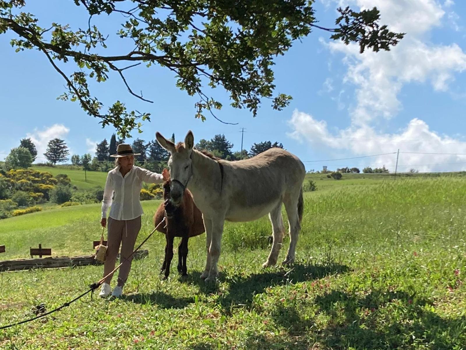Agriturismo Selvella Radicofani Dış mekan fotoğraf