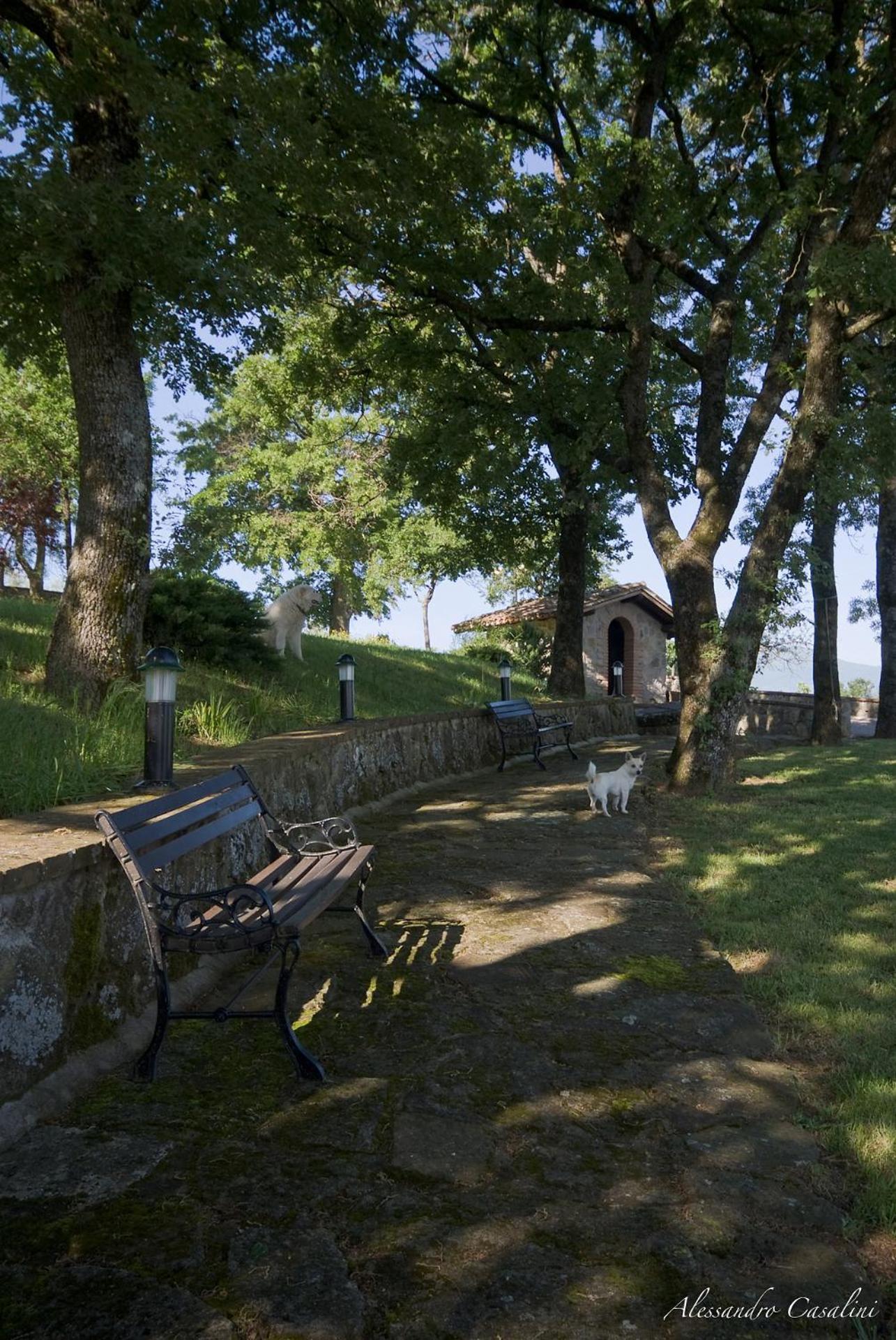 Agriturismo Selvella Radicofani Dış mekan fotoğraf