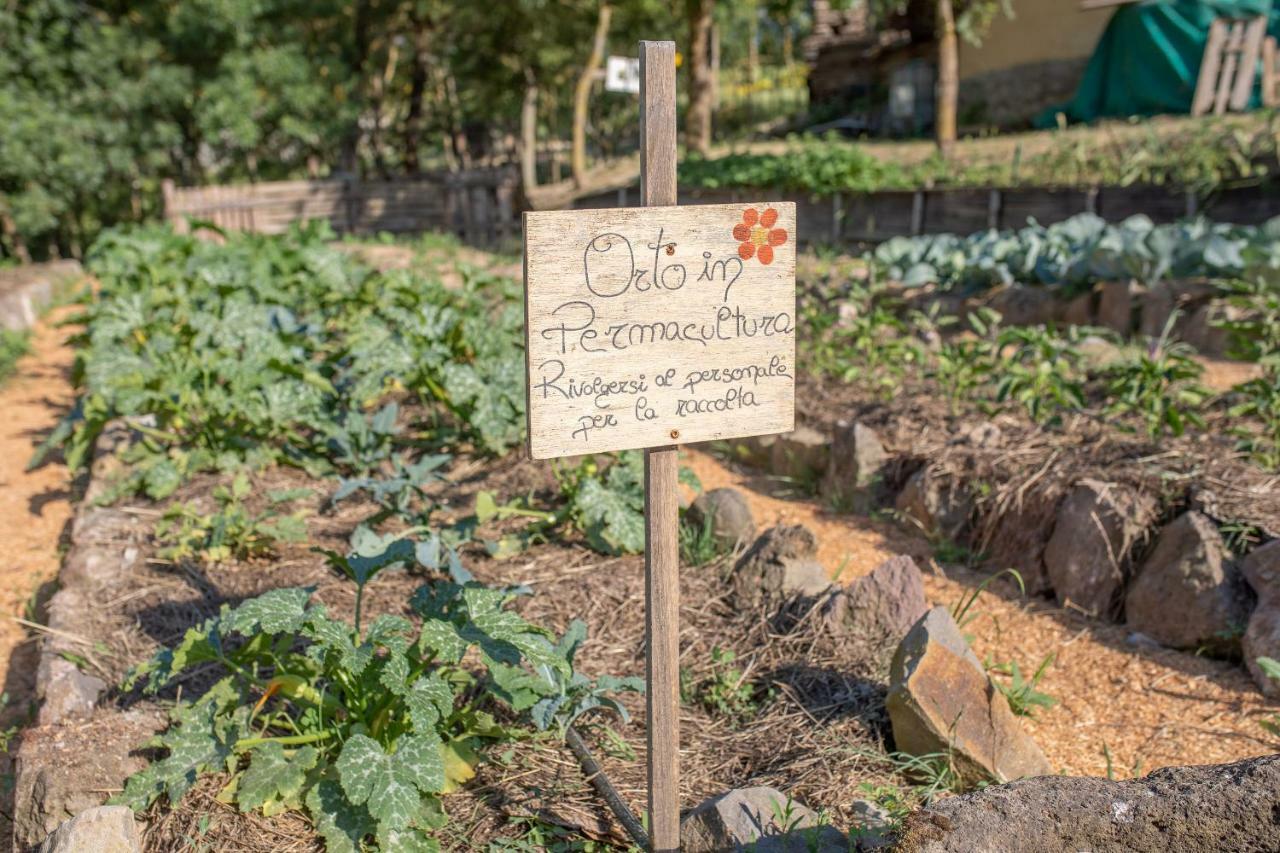 Agriturismo Selvella Radicofani Dış mekan fotoğraf